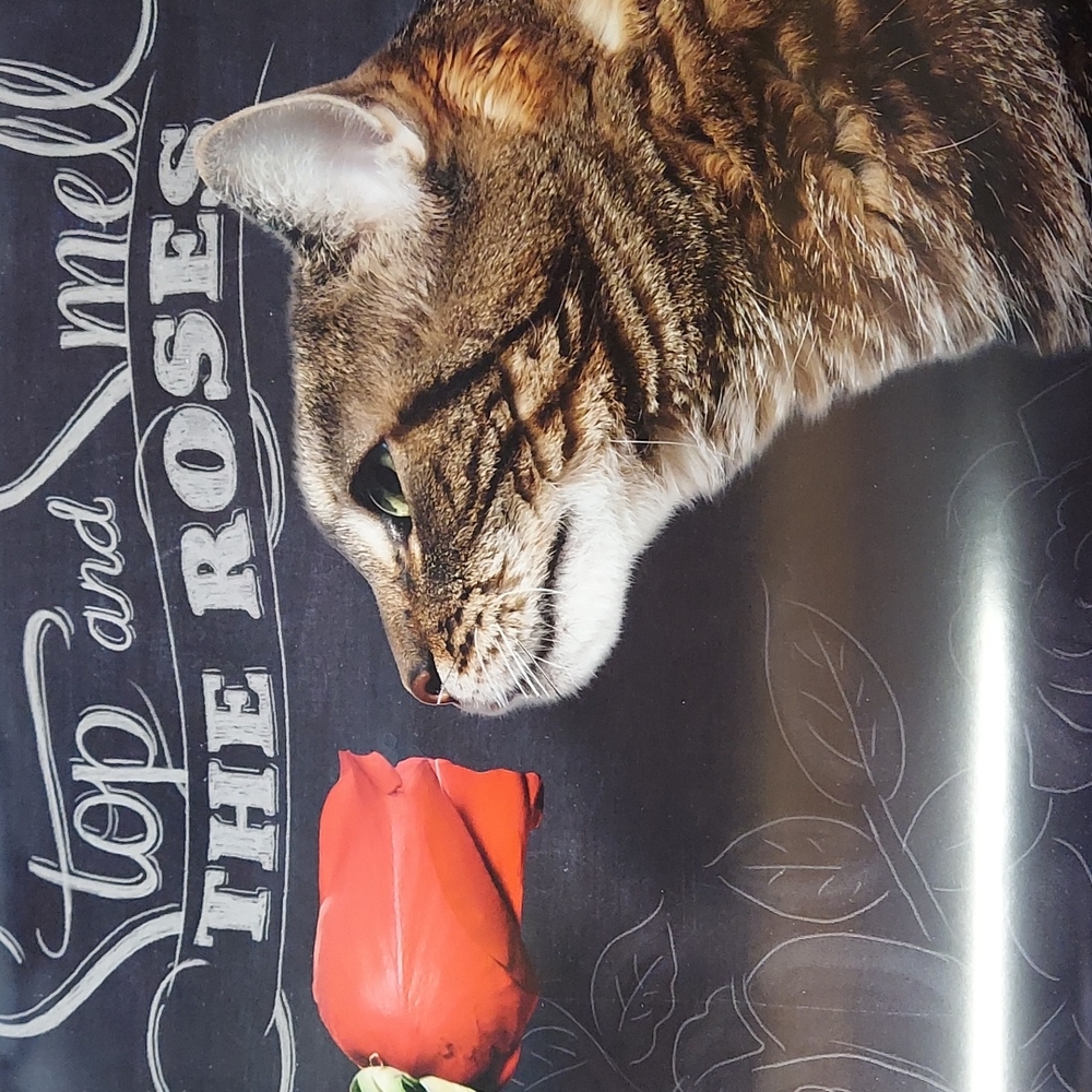 Stop and Smell the Roses